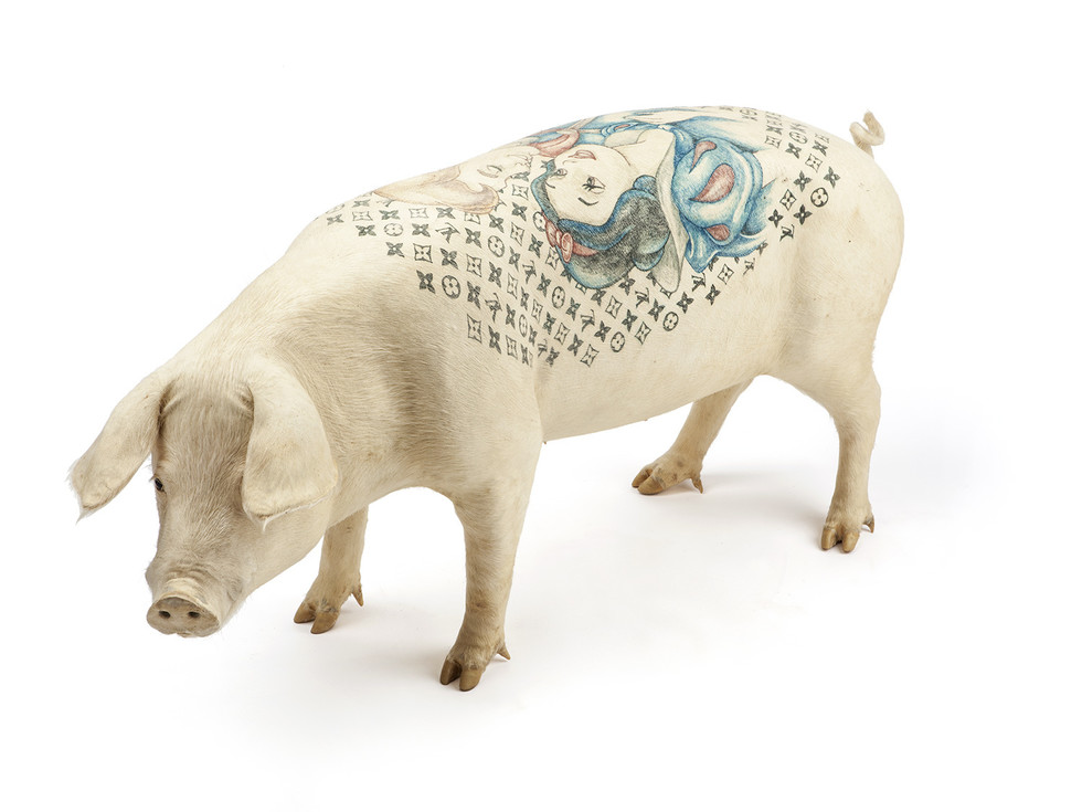 Wim Delvoye Tattooing Pigs For The Art Of