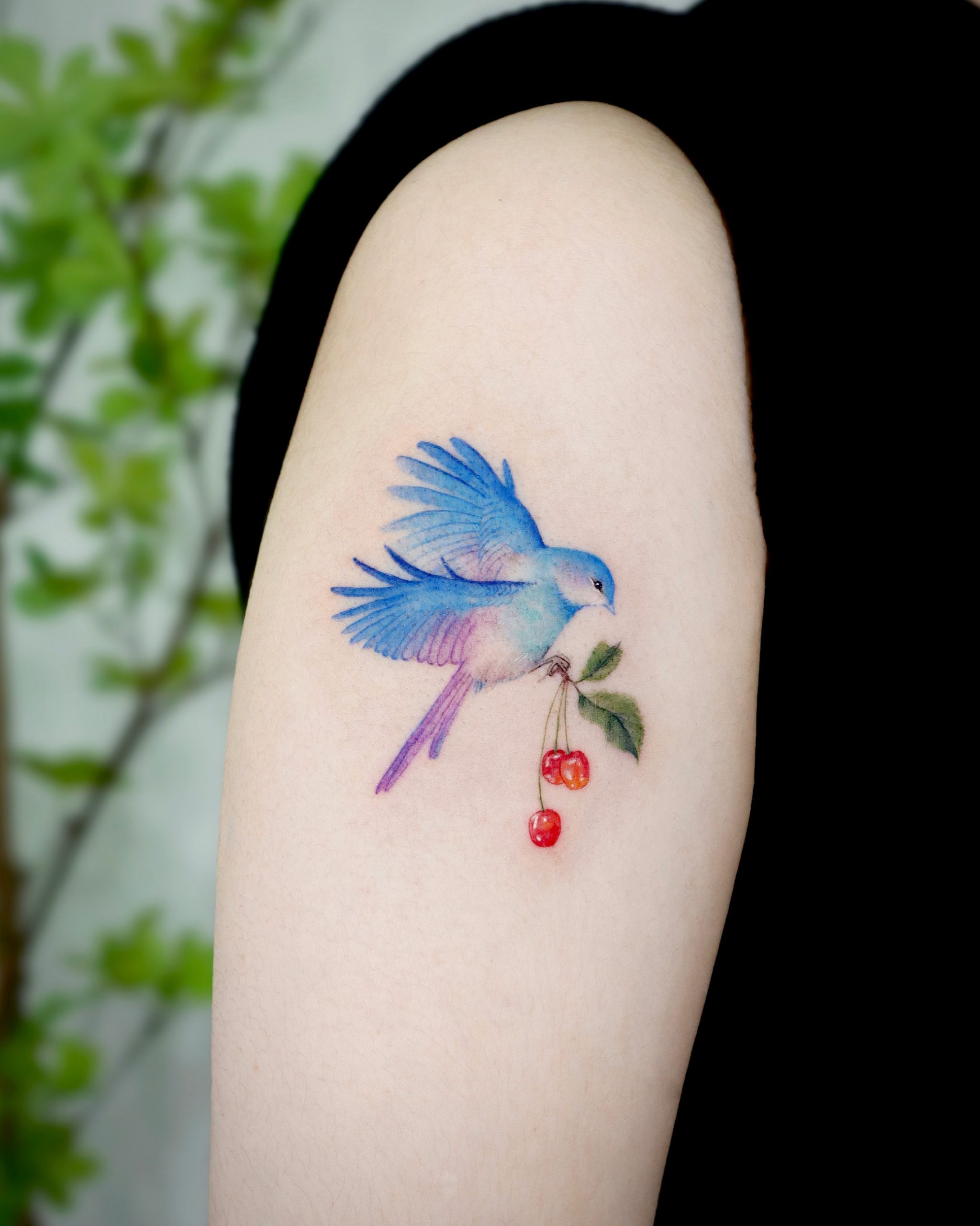 Beautiful Bird Tattoos For Women  alexie
