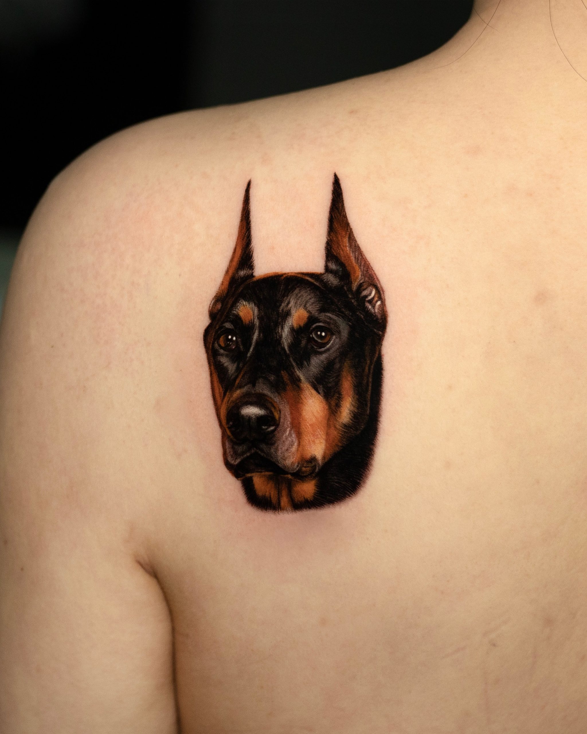 Single Needle Doberman Head by Mud (independent artist) in Atlanta, GA : r/ tattoos