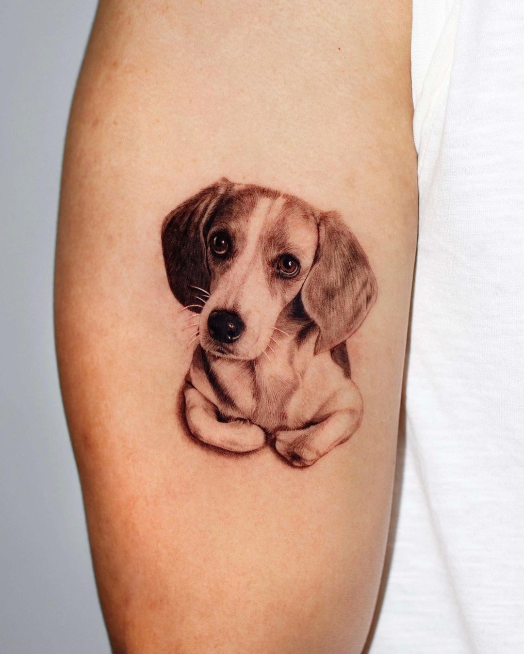4 Year Anniversary Since New York Bans Pet Tattooing