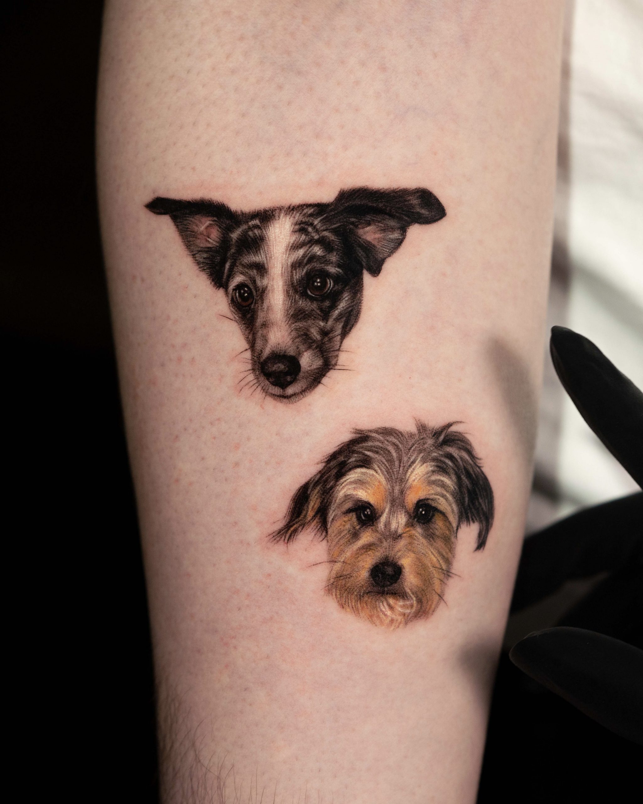 Top 9 Dog Tattoo Designs And Pictures | Styles At Life