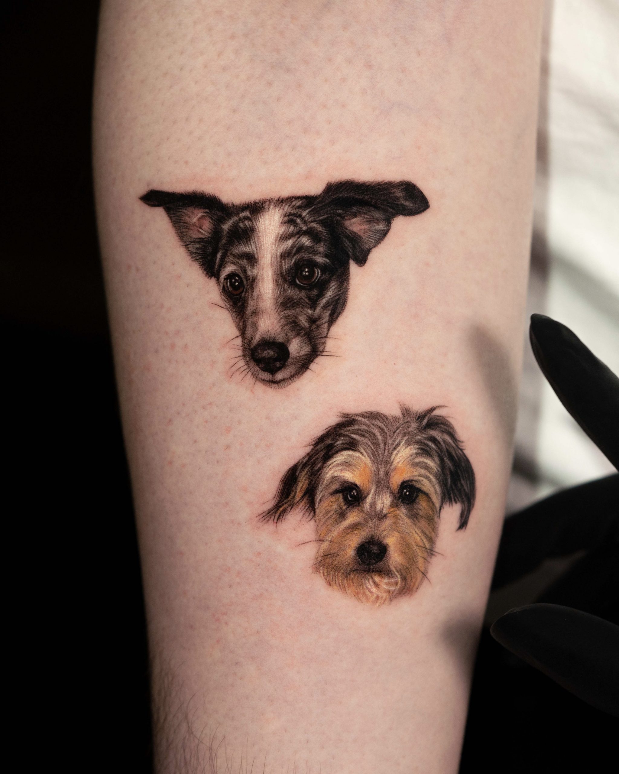 hyper realistic tattoos you wont believe