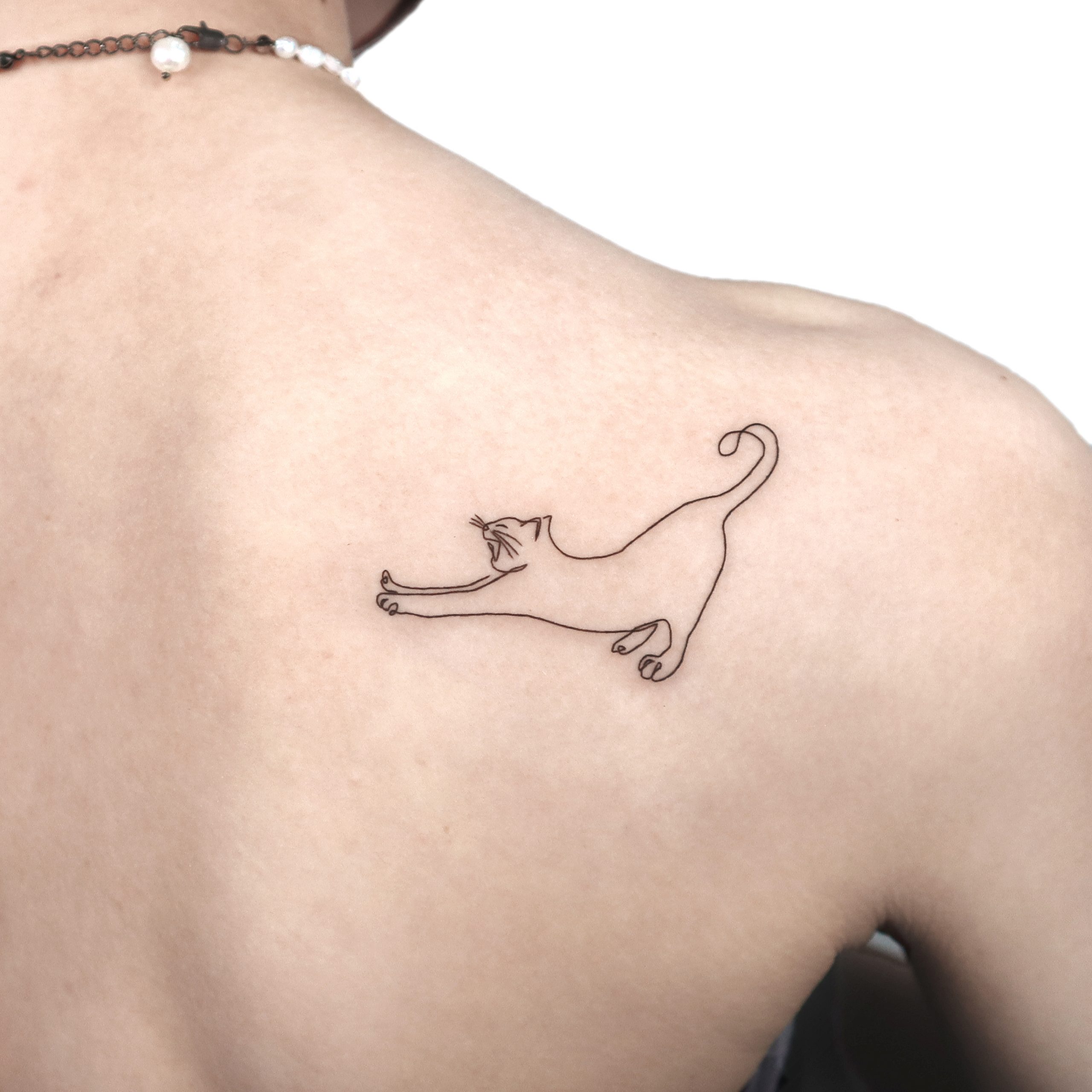 Cat Tattoos on Instagram Kitty tattoo by sliwkatattoo cattattoos  tattoo ink catsofig catsofinstagram tattoos tattooartist tattooing  kittytattoos loveink